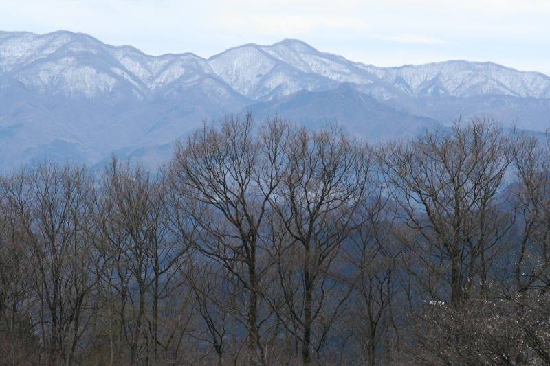f0017530_20193796.jpg