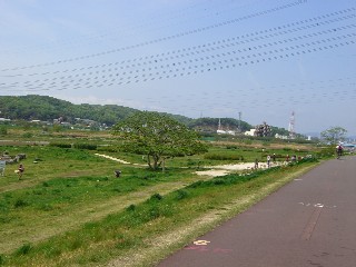 f0130430_23245668.jpg