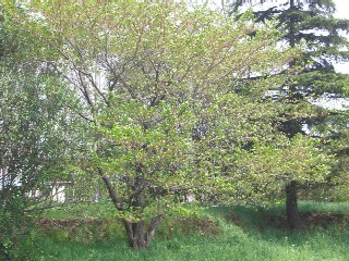 f0130430_23352783.jpg