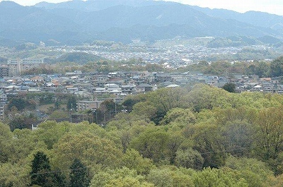 a0017634_8295246.jpg
