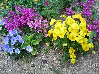 f0131934_2335843.jpg