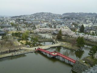 f0065341_715874.jpg