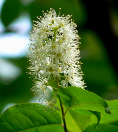 d0091754_0183976.jpg