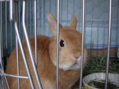 c0032257_05469.jpg