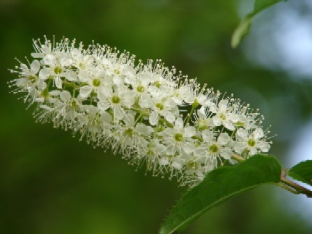 b0061261_13584473.jpg