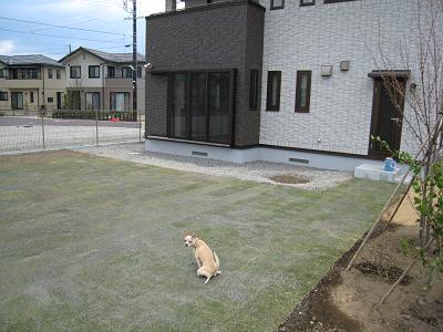f0046262_172118100.jpg