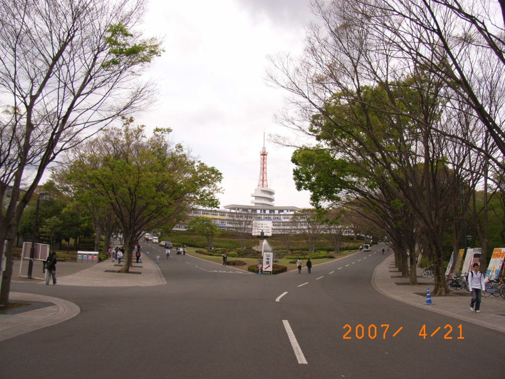 f0131165_23402889.jpg