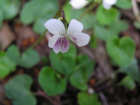 c0042869_20115529.jpg
