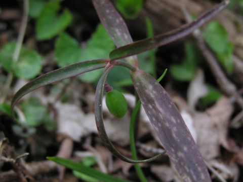 c0042869_20121126.jpg