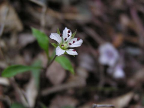 c0042869_20124933.jpg