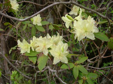 c0042869_20131676.jpg