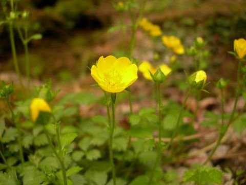 c0042869_20133214.jpg