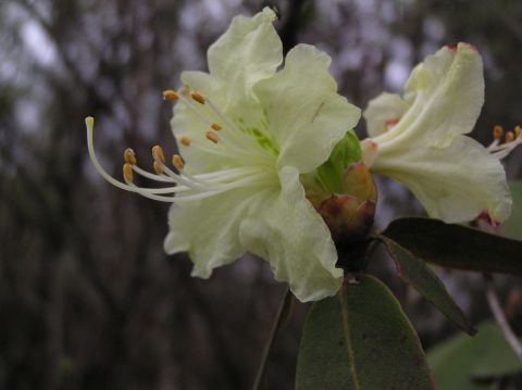 c0042869_2013466.jpg