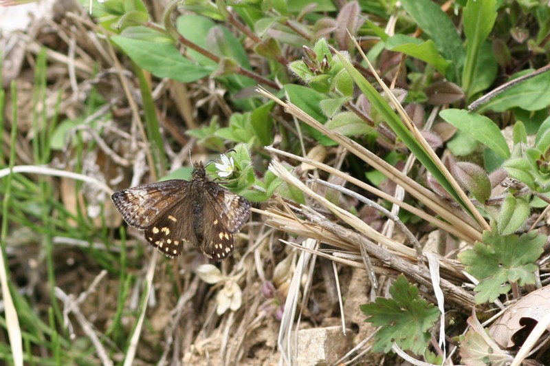 b0088772_22352429.jpg