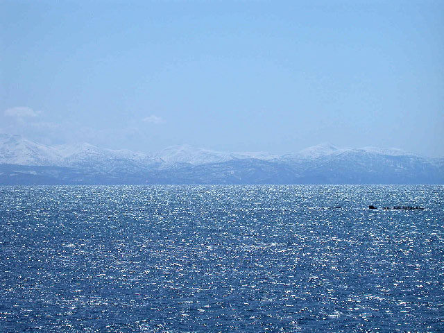 e0100772_23435978.jpg