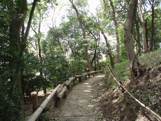 d0082980_11275.jpg