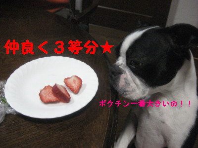 c0092787_10392119.jpg