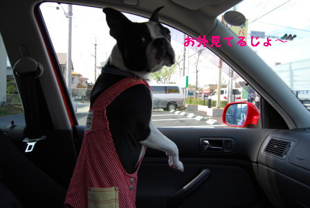 c0092787_1042617.jpg