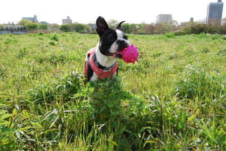 c0092787_10442960.jpg