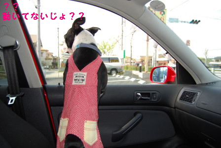 c0092787_1044366.jpg