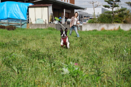 c0092787_10443882.jpg