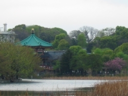 b0089492_17361150.jpg