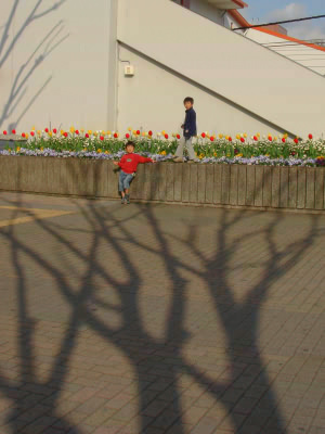 b0052394_22342895.jpg