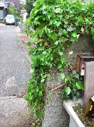 d0046294_18123972.jpg