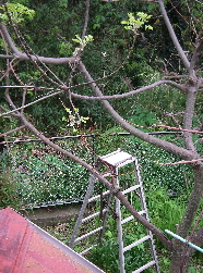 d0046294_18144879.jpg