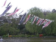 c0053700_22473553.jpg