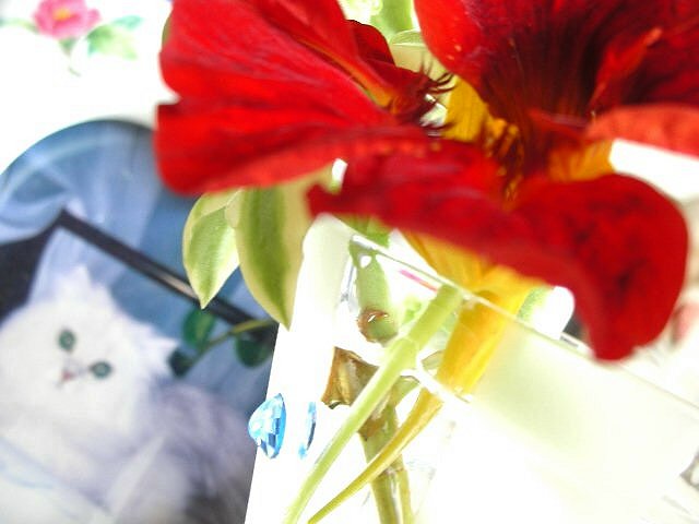 f0083400_15215792.jpg