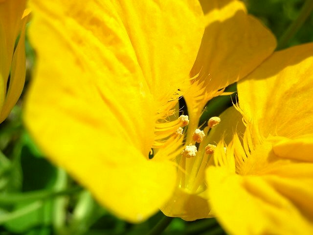 f0083400_15495115.jpg