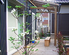 c0039501_107439.jpg