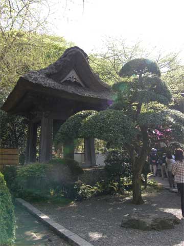 f0036603_218923.jpg