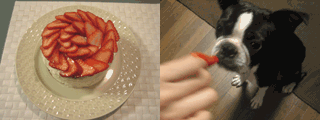 e0080117_22524478.gif