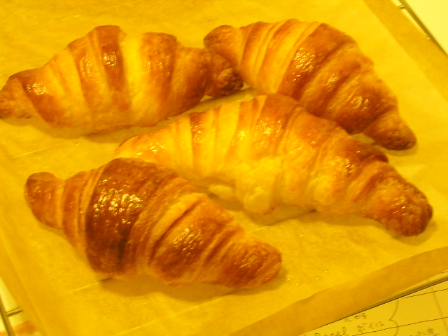 d0055321_2329444.jpg