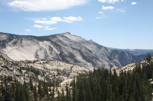 a0097322_433750.jpg