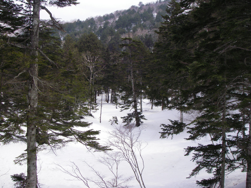 b0062024_19142031.jpg