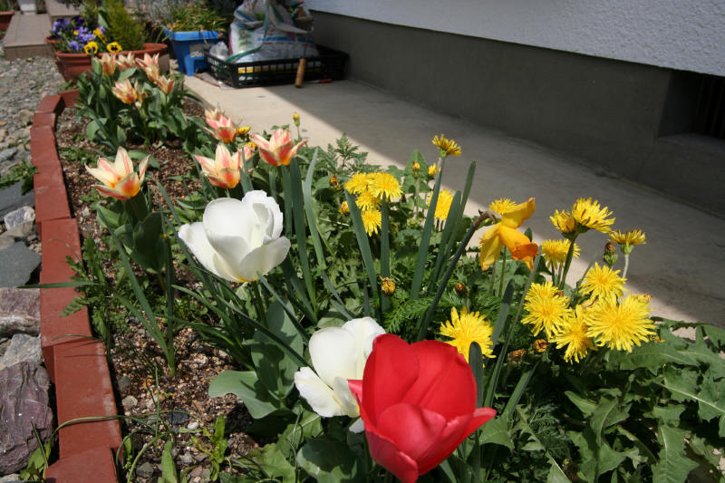 f0017530_19585739.jpg