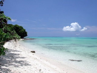 c0046740_18255618.jpg