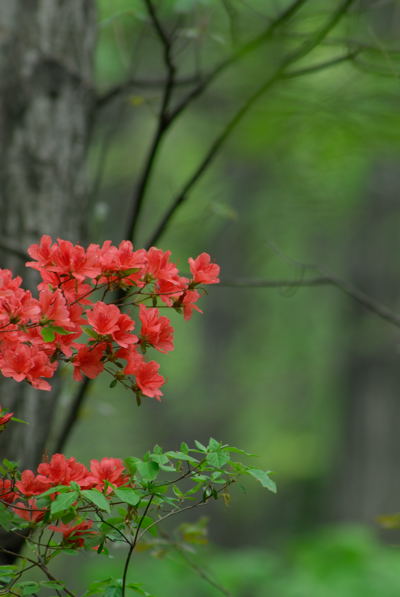 b0036743_17572658.jpg