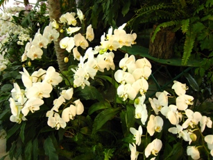 b0003650_22485154.jpg