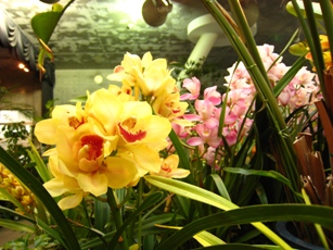 b0003650_2250246.jpg