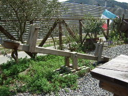 e0088654_1332055.jpg