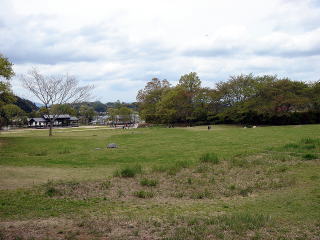 e0083155_12321537.jpg
