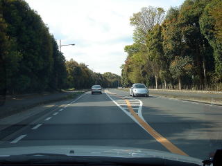 e0083155_1263292.jpg