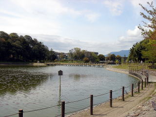 e0083155_1274753.jpg
