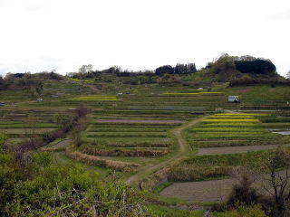 e0083155_13313012.jpg