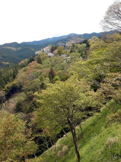 e0083155_1352191.jpg