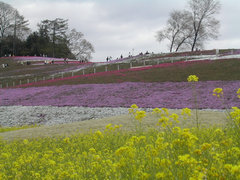 a0088456_2217985.jpg